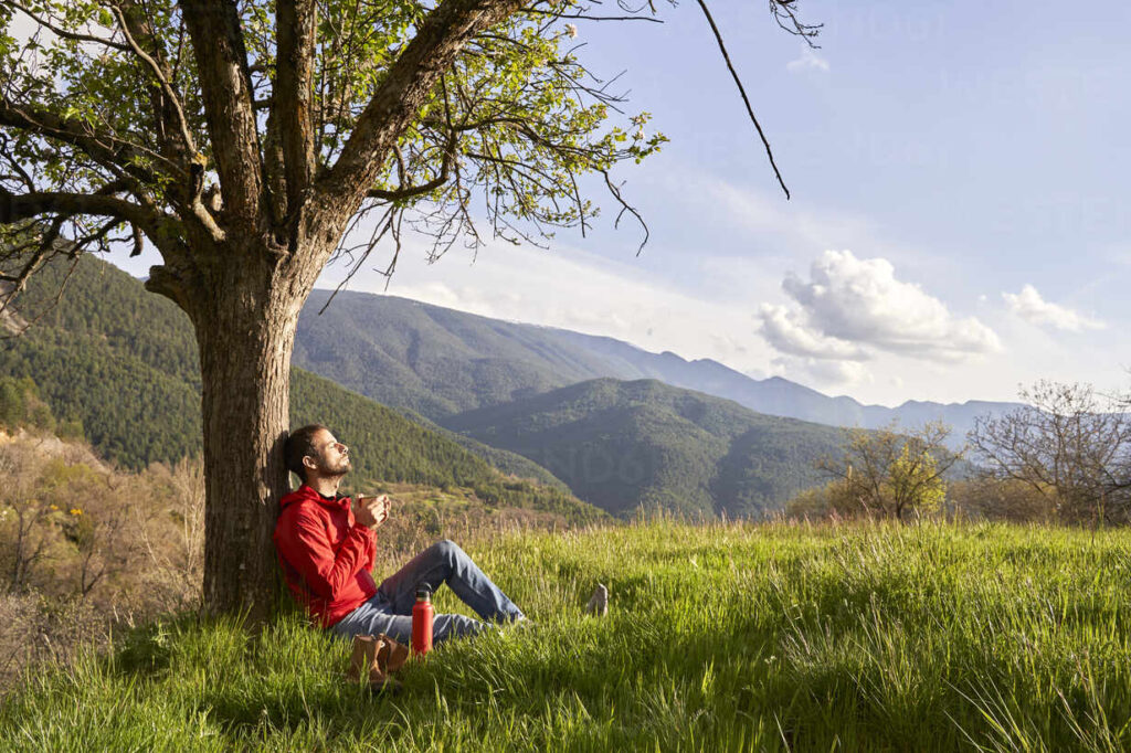 The Healing Power Of Nature Cic Centre Of Inclusive Care The Healing Power Of Nature Cic Centre Of Inclusive Care
